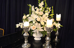 A CELERATION OF LIFE